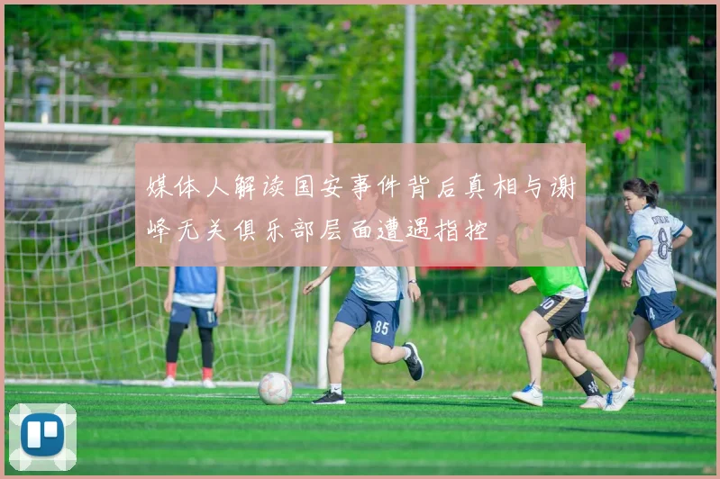 媒体人解读国安事件背后真相与谢峰无关俱乐部层面遭遇指控