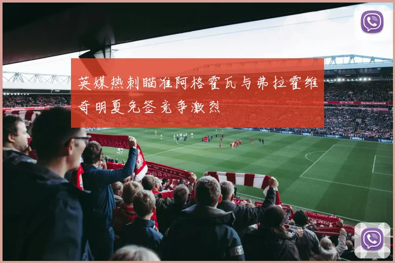 英媒热刺瞄准阿格霍瓦与弗拉霍维奇明夏免签竞争激烈