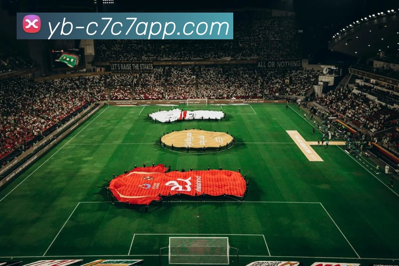 C7C7娱乐平台生态图